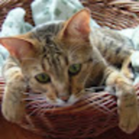 Meet your Posher, Anja - Picture 1 of 1